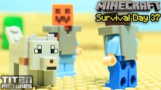 Lego Minecraft Survival 37 [upl. by Esahc]