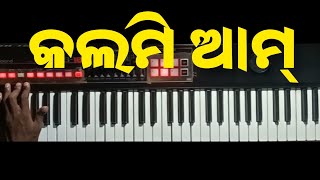 କଲମୀ ଆମ୍Kalmi aam old sambalpuri instrumental songpiano tutorial July 9 2023kalmiaam oldsong [upl. by Nbi]