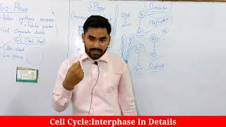 Introduction To Cell Cycle  Interphase In details Phases Of Interphase [upl. by Patricio]