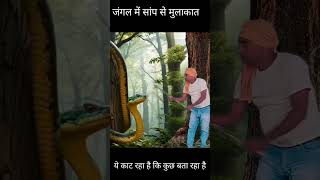 A snake met in jungle  snake video  saamp wala video [upl. by Trilly]