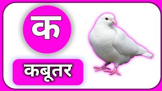 क से कबूतर ख से खरगोश ग से गमला Hindi varnamala pictures and videos song [upl. by Sedgewinn434]