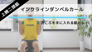 引き締まった腕、たくましい力こぶを手に入れる筋トレ「インクラインダンベルカール」の正しいやり方【10回×3セット】 [upl. by Roper]