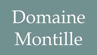 How to Pronounce Domaine Montille Correctly in French [upl. by Anelaj]