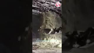 Excavator quickly retreats after tunnel collapse [upl. by Notnilk]