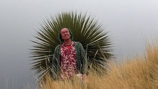 FIELD TRIP WITH PATRICK BLANC IN PERU 4  ALTIPLANO TO PUERTO MALDONADO amp LAKE TITICACA [upl. by Towland]