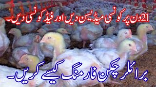 broiler chicken farming in PakistanDay 21 [upl. by Netsyrc617]