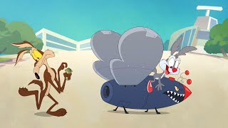 Watch Tiny Toons Looniversitytime travel [upl. by Neeleuqcaj]