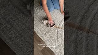 Vloerkleed schoonmaken met baking soda  Advies door Volero [upl. by Eerized]