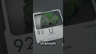 basic overview of radioactive property of uranium uranium science shorts [upl. by Evan]