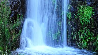 Cascata do Chirlão Monchique Waterfall Portugal [upl. by Bang]