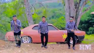 LOS HERMANOS MEZA  tus mentiras VIDEO OFICIAL✓2018 [upl. by Inoue]