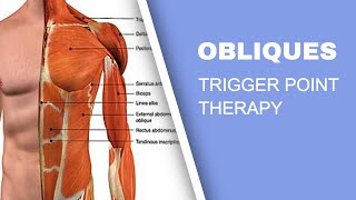 Trigger Point Release Therapy  The Obliques [upl. by Anelhtac]