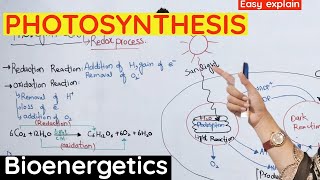 Photosynthesis  Reaction of photosynthesis class 11 bioenergetics [upl. by Doug]