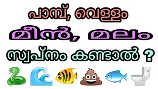 swapnam kandal swapna vyakyanam islam malayalam islamic speech pambu vellam meen malam sopna phalam [upl. by Eentruoc985]