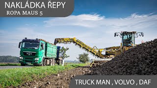 Nakládka 🌱 cukrové řepy  🟡 Ropa Mause 5  Man Volvo  Cukrovar Litovel [upl. by Jp246]