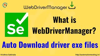 WebDriverManager API  Auto Download driver exe files in Selenium  Launch browser without exe [upl. by Keithley]