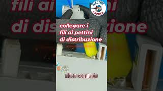 collegamento fili ai pettini di distribuzione quadri elettrici [upl. by Miah]