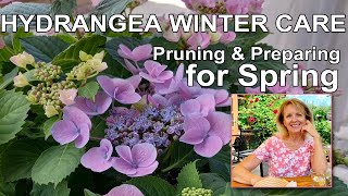 Hydrangea Winter Care Pruning and Preparing for Spring [upl. by Beall]