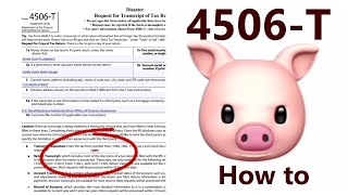 IRS Form 4506T walkthrough Request For Transcript of Tax Return [upl. by Eissen]