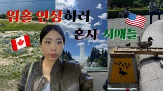 캐나다 워홀 연장하러 혼자 시애틀 와서 놀기트레이더조스 pikeplace 치훌리글라스가든••• [upl. by Jehu579]