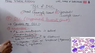 tlc and dlc  total leukocyte count  differential leukocyte count [upl. by Ayvid]