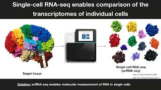 DH607 Fall 2024 Lecture 16  Singlecell RNAseq technologies [upl. by Chapell]