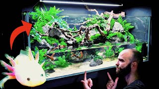 💚 Huge Natural 4ft Aqua Terrarium  Paludarium  Planted Tank Rehoming Pancho My Axolotl How To [upl. by Ellirpa]