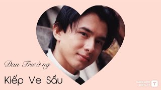 Kiếp Ve Sầu Lyrics  Đan Trường [upl. by Nuj]