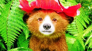 PADDINGTON 3 IN PERU Trailer 2 NEW 2024 [upl. by Way]