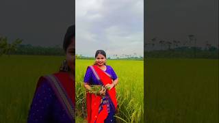 Hanthe sankha churi  nagpurisong youtubeshorts highlights flowers Mandisujuvlog [upl. by Annis]