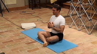 Iyengar Yoga Demonstration [upl. by Reeves]