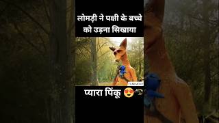 Cartoon movie in Hindi dubbed Southmovie Hollywoodmovie ytshort  shorts viralnow trending [upl. by Milton]