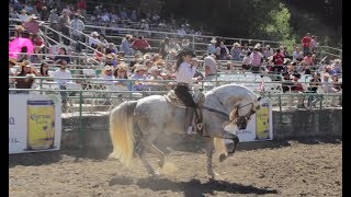 Alejandra Rojas  Castro Valley Ca 2017 [upl. by Polish]