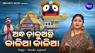 Andha Dakuachi Kalia Kalia  Emotional Jagannatha Bhajan  Namita Agrawal  ଅନ୍ଧ ଡାକୁଅଛି କାଳିଆ କାଳିଆ [upl. by Naarah]