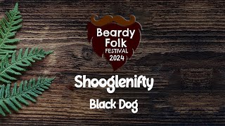 Shooglenifty  Black Dog Live at Beardy Folk Festival 2024 [upl. by Haimorej]