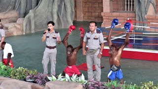 Funny Orangutan Boxing Show Must Watch  Orangutan Show at Phnom Penh City Zoo [upl. by Iggam]