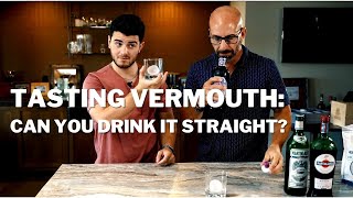 Trying Vermouth Can you drink it straight amp what is it really for [upl. by Airdni]