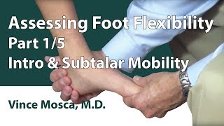 Assessing Foot Flexibility Part 01 Intro amp Subtalar Mobility [upl. by Lavella]