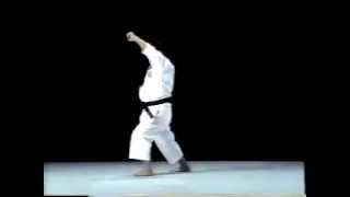 Heian Shodan Shito Ryu [upl. by Roland]