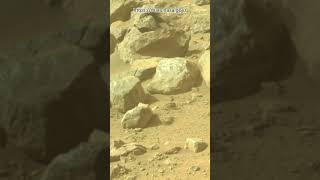 Perseverance Rover Sol 1302  Mars New 4k Video  Mars 4k Video  Mars In 4k  Mars shorts [upl. by Aihsenyt770]