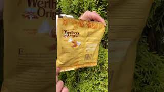 Цукерки PUMPKIN Werther’s 🇩🇪werthers candy леденцы lollipop lollipops конфеты цукерки [upl. by Kohl]