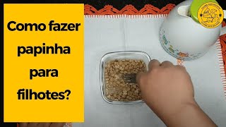 COMO FAZER PAPINHA de ração para filhotes com 20 dias 30 dias e 45 dias comer [upl. by Audrie]