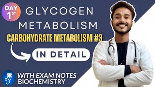 glycogen metabolism biochemistry  glycogenesis biochemistry  glycogenolysis biochemistry [upl. by Kaspar]