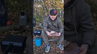 Sarniak sosnowy food obiad jedzenie fishing grzyby outdoors [upl. by Jareen]