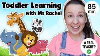 Toddler Learning with Ms Rachel  Learn Zoo Animals  Kids Songs  Educational Videos for Toddlers [upl. by Baun214]