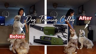 Dog Training Collar 4 Training Modes ECollar for All Breeds Jugbow [upl. by Lazaro]