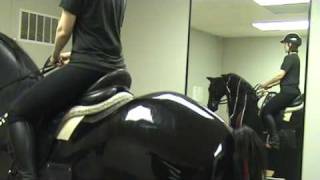 Riding Lesson on Amerika [upl. by Atoiganap884]