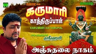 Anju Thalai Nagam  Karumari Kathirupal  Srihari [upl. by Kciremed]