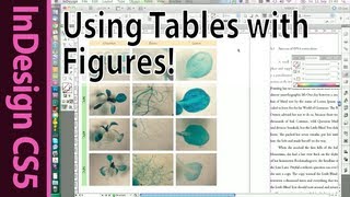 Tutorial Using Tables in InDesign CS5 to create clearly structured figures Part 6c [upl. by Wooldridge544]