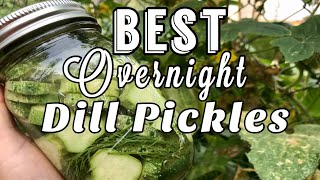 No canning DILL PICKLES  Overnight refrigerator pickles [upl. by Nela]